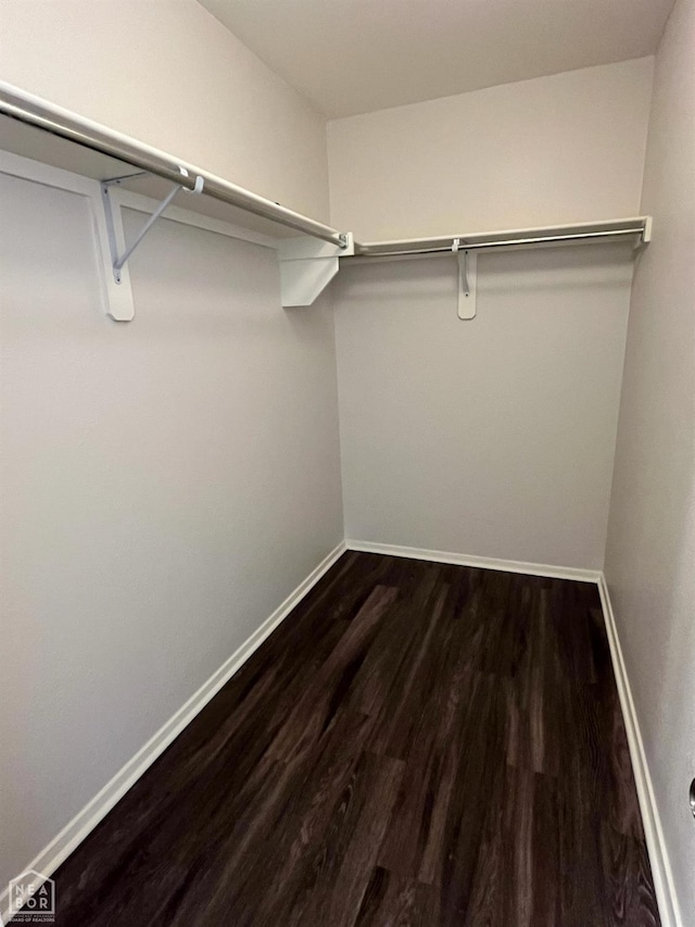 3721 Churchill Dr, Jonesboro, AR 72404 - walk in closet featuring dark wood finished floors