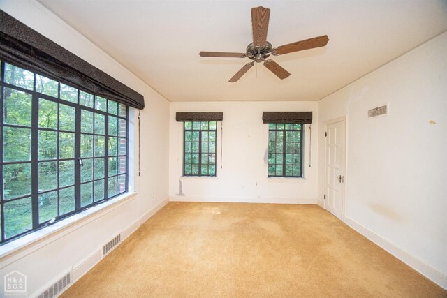 1315 E Nettleton Ave, Jonesboro, AR 72401 - photo 17