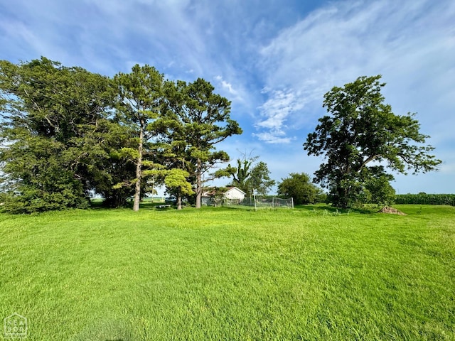 1196 County Road 543, Monette, AR 72447 - photo 3