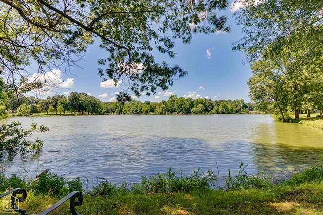 2300 Mount Carmel Rd, Paragould, AR 72450 - water view