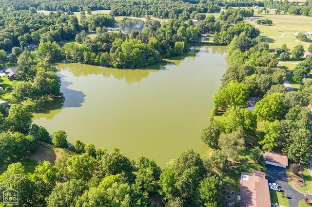 2300 Mount Carmel Rd, Paragould, AR 72450 - drone / aerial view of a large body of water