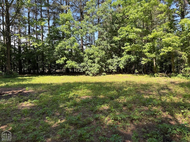 34 County Road 460, Jonesboro, AR 72404 - photo 23