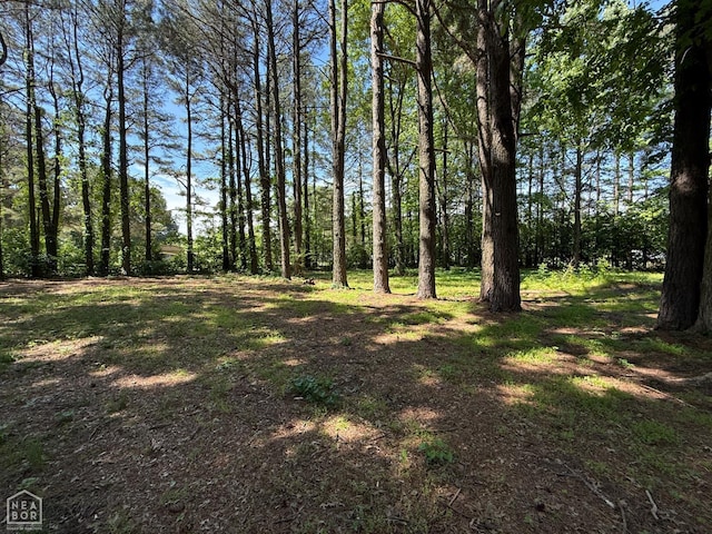 34 County Road 460, Jonesboro, AR 72404 - photo 22