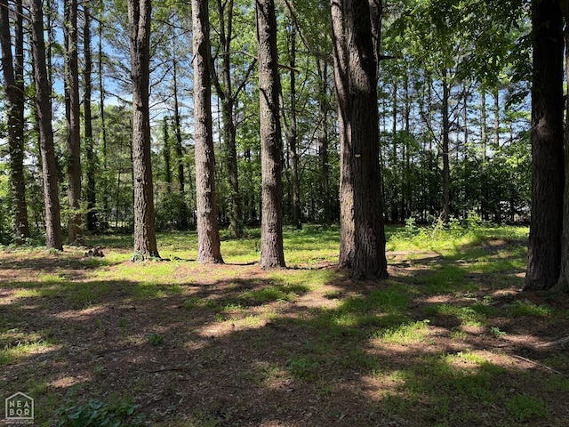 34 County Road 460, Jonesboro, AR 72404 - photo 25