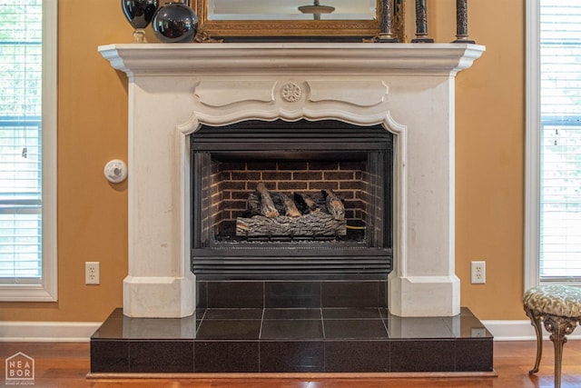 interior details featuring wood finished floors, baseboards, and a fireplace with raised hearth