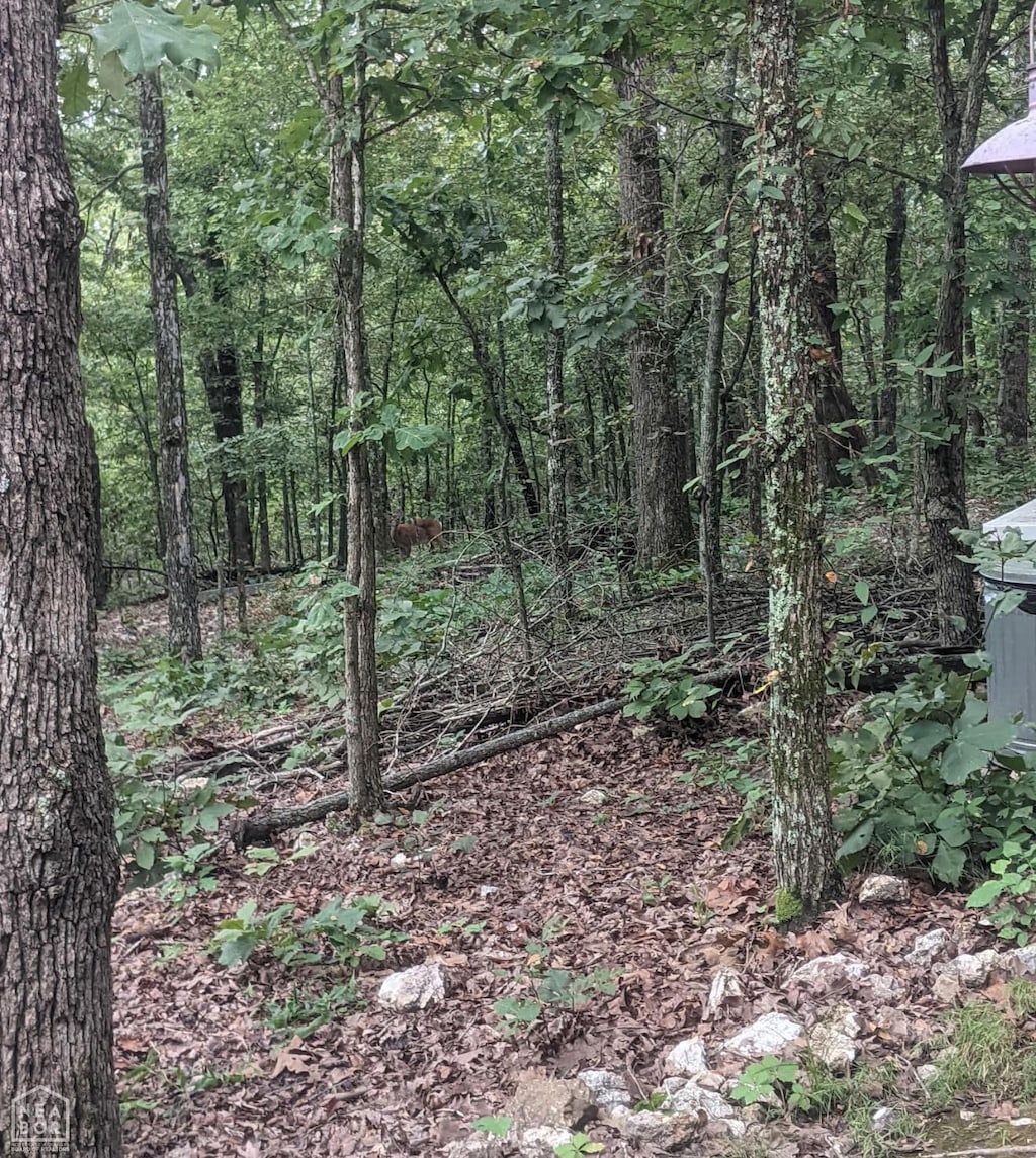 7177 9 Mile Ridge Rd, Hardy, AR 72542 - photo 2