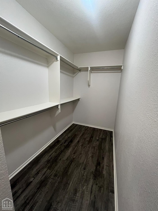 3721 Remington Dr, Jonesboro, AR 72404 - walk in closet with dark wood-style flooring