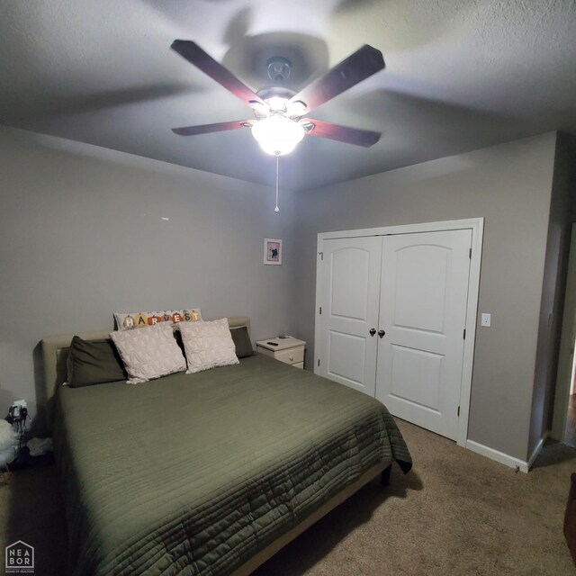 2 Rushing Cv, Paragould, AR 72450 - photo 6