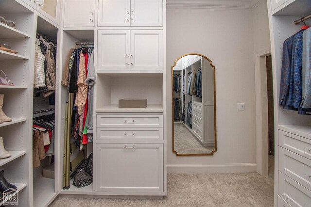 1203 Dove Rd, Jonesboro, AR 72401 - spacious closet with arched walkways and light carpet