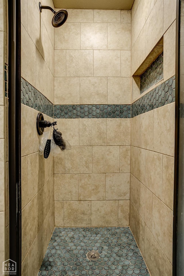 103 Hollis Cv, Bono, AR 72416 - bathroom featuring a stall shower