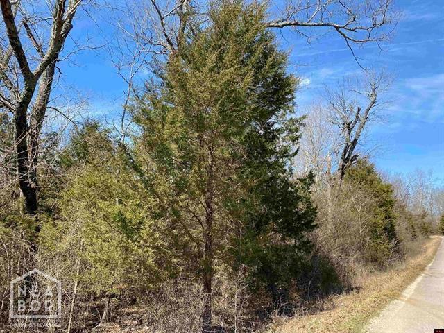 1 Wirth Rd, Hardy, AR 72459 - photo 6