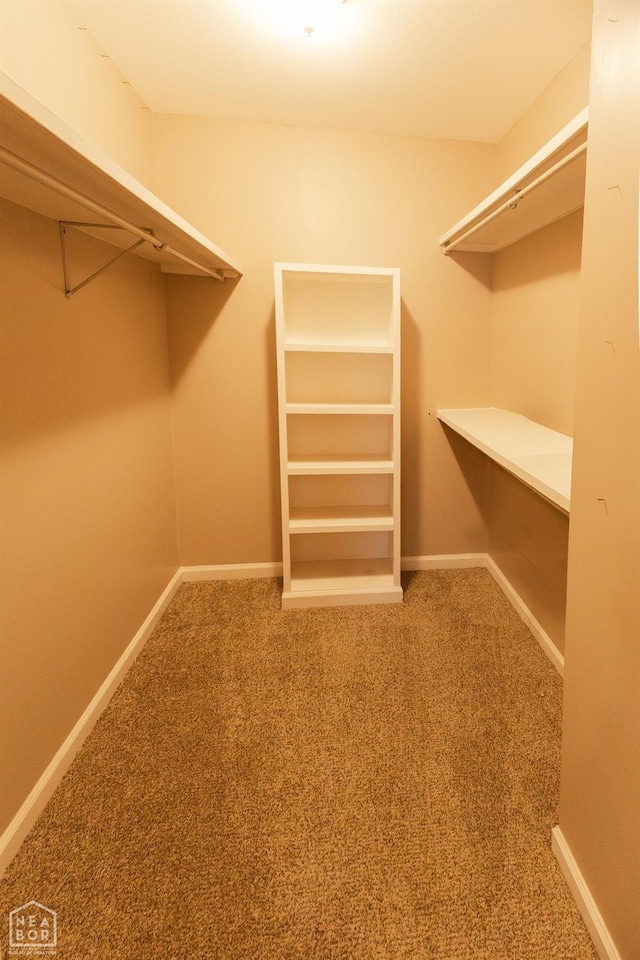walk in closet featuring carpet floors