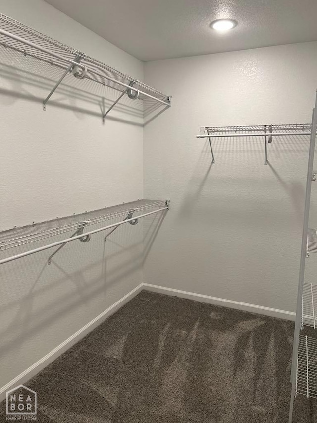 5743 Brookshire Dr, Jonesboro, AR 72401 - spacious closet with carpet floors