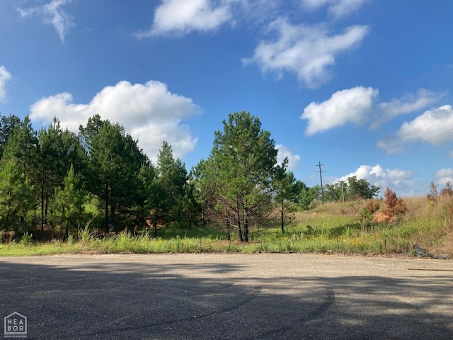 2713 W Matthews Ave, Jonesboro, AR 72401 - photo 7