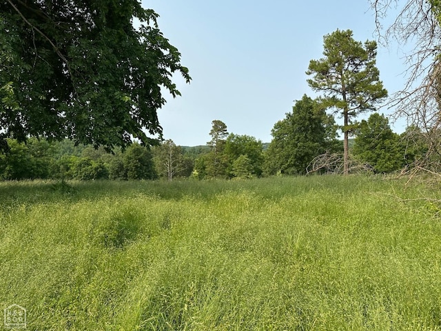 1 Mc 5014, Yellville, AR 72633 - photo 14