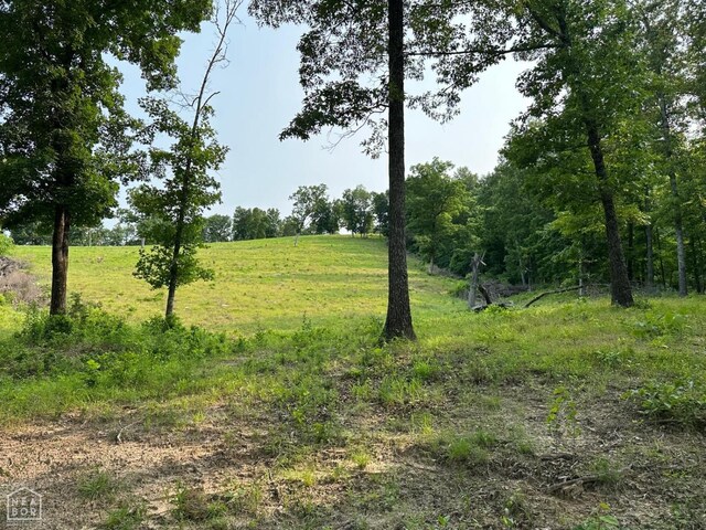1 Mc 5014, Yellville, AR 72633 - photo 37