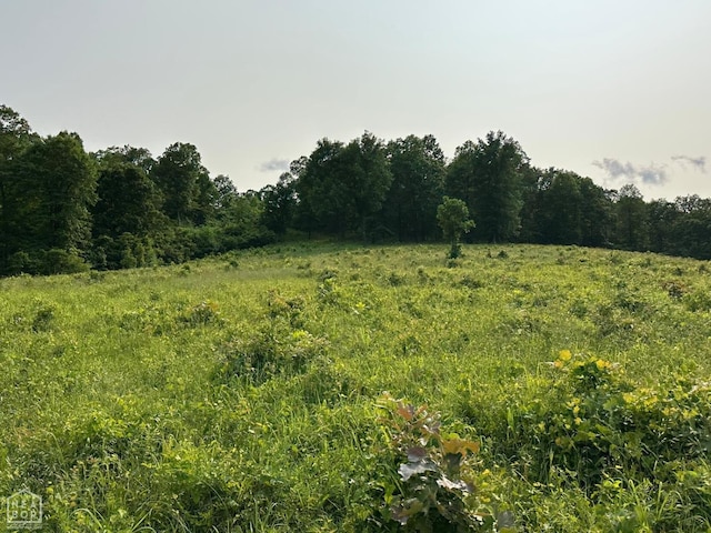 1 Mc 5014, Yellville, AR 72633 - photo 33