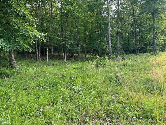 1 Mc 5014, Yellville, AR 72633 - photo 32