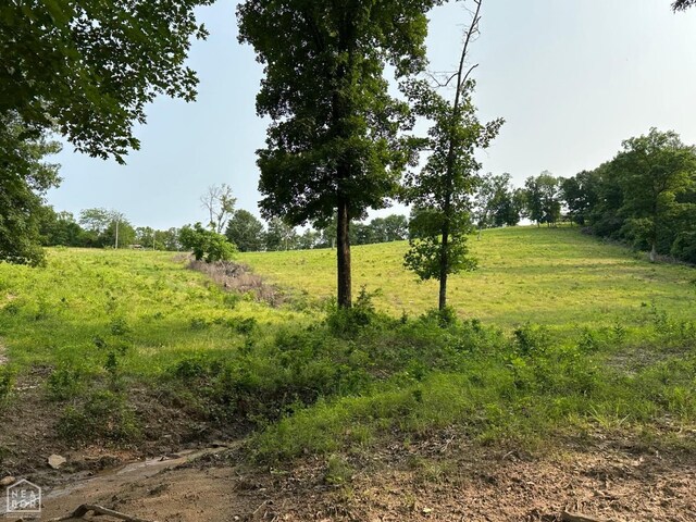 1 Mc 5014, Yellville, AR 72633 - photo 30