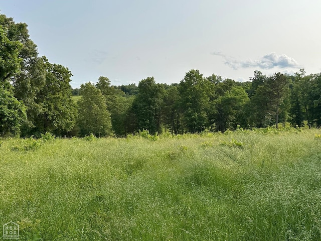 1 Mc 5014, Yellville, AR 72633 - photo 2