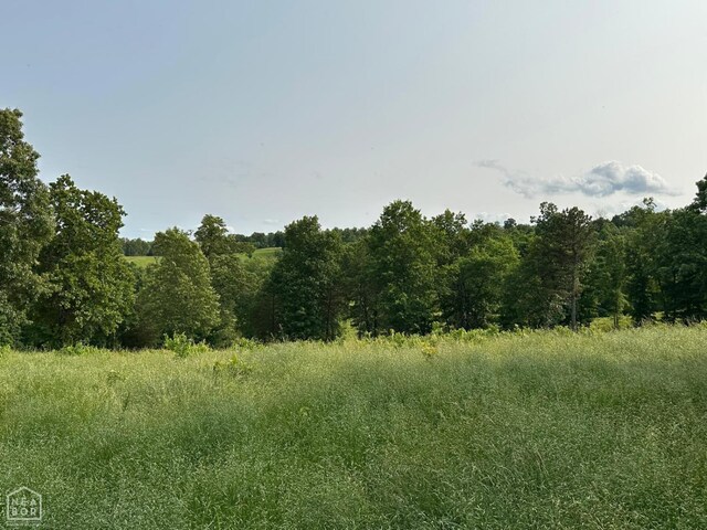 1 Mc 5014, Yellville, AR 72633 - photo 28