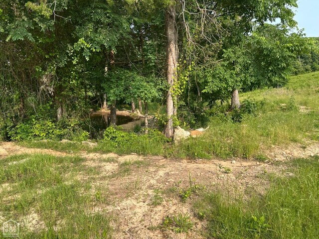 1 Mc 5014, Yellville, AR 72633 - photo 17