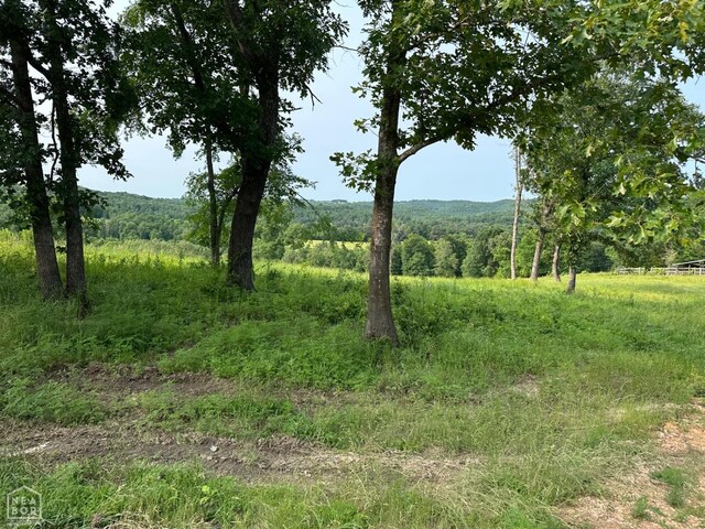 1 Mc 5014, Yellville, AR 72633 - photo 9