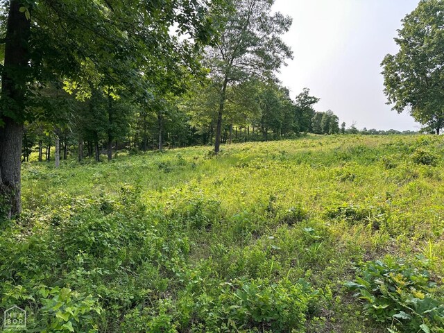 1 Mc 5014, Yellville, AR 72633 - photo 16