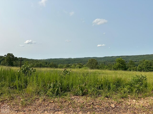 1 Mc 5014, Yellville, AR 72633 - photo 23