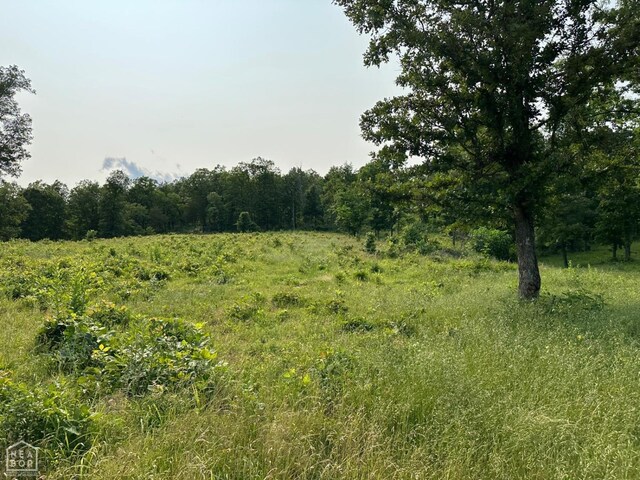 1 Mc 5014, Yellville, AR 72633 - photo 36