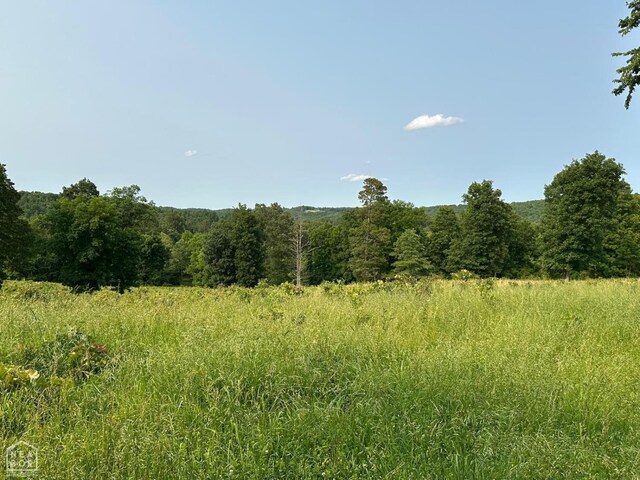 1 Mc 5014, Yellville, AR 72633 - photo 10