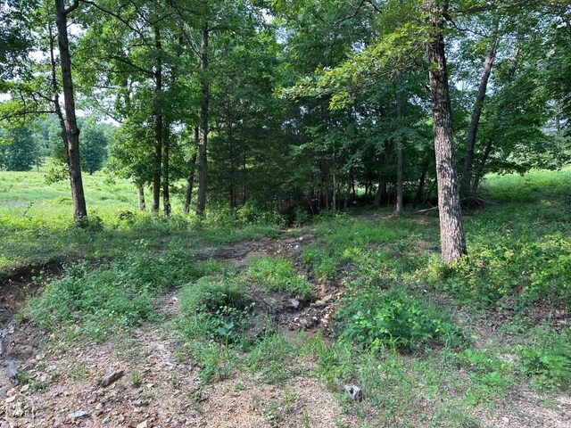 1 Mc 5014, Yellville, AR 72633 - photo 27