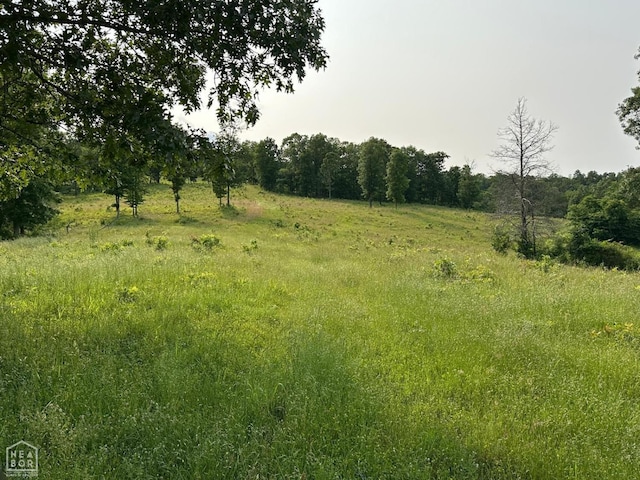 1 Mc 5014, Yellville, AR 72633 - photo 20