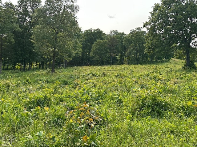 1 Mc 5014, Yellville, AR 72633 - photo 35