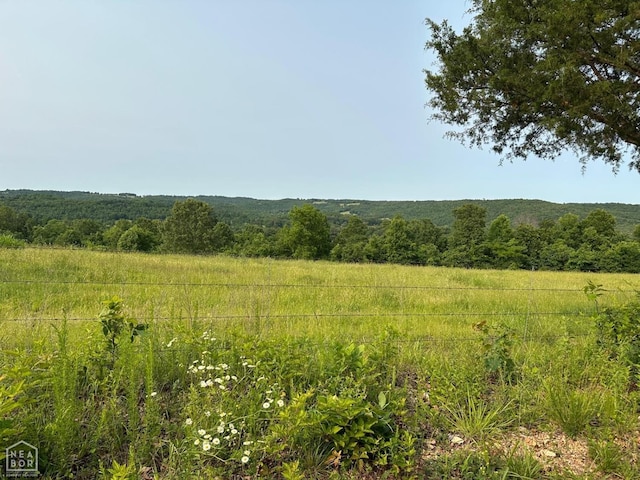 1 Mc 5014, Yellville, AR 72633 - photo 34