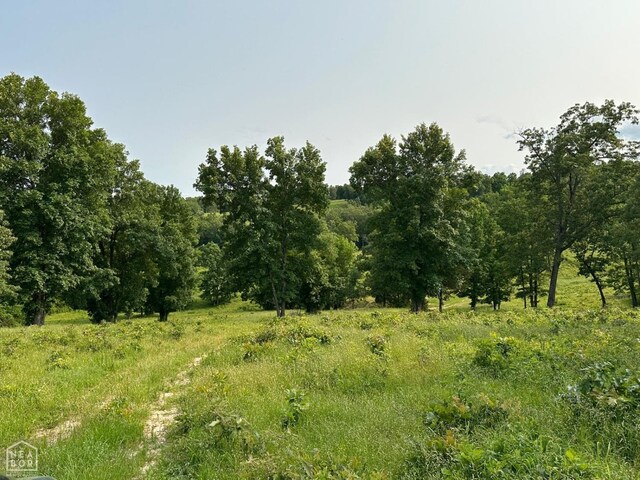 1 Mc 5014, Yellville, AR 72633 - photo 3