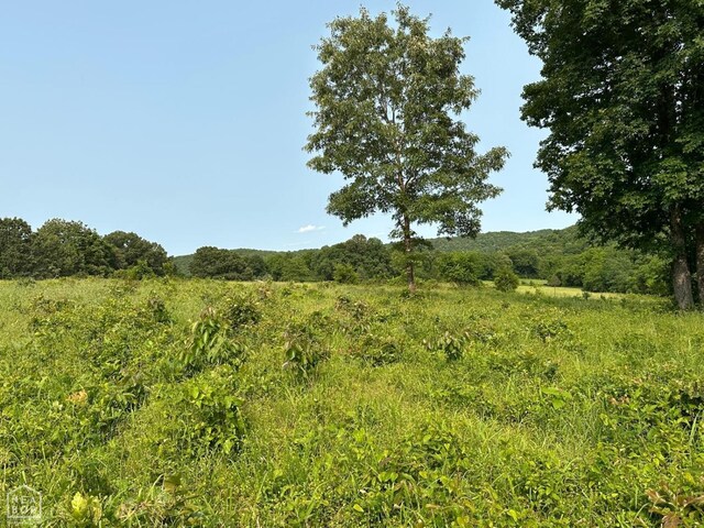 1 Mc 5014, Yellville, AR 72633 - photo 5