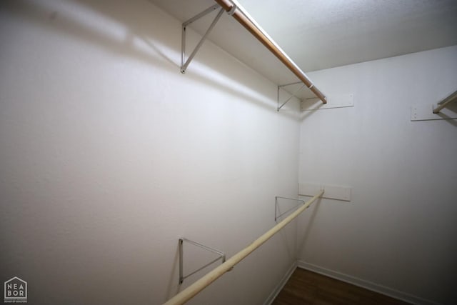 walk in closet with dark wood-style floors