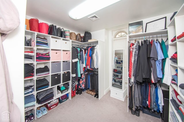 spacious closet with carpet and visible vents