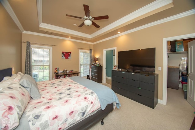bedroom featuring a tray ceiling, a closet, ornamental molding, carpet floors, and a walk in closet