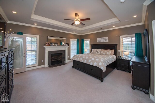 bedroom featuring multiple windows, a raised ceiling, and light colored carpet