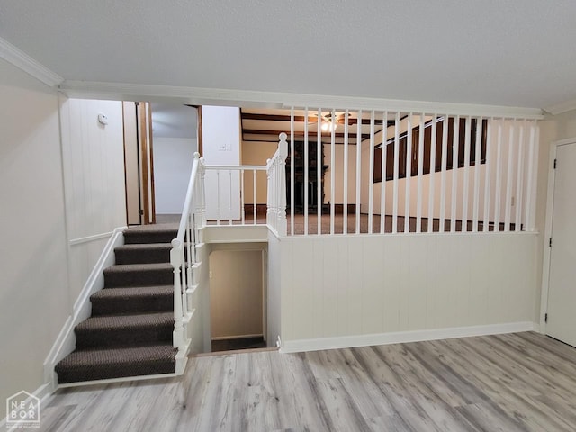 1712 Merrill Cv, Jonesboro, AR 72401 - photo 10