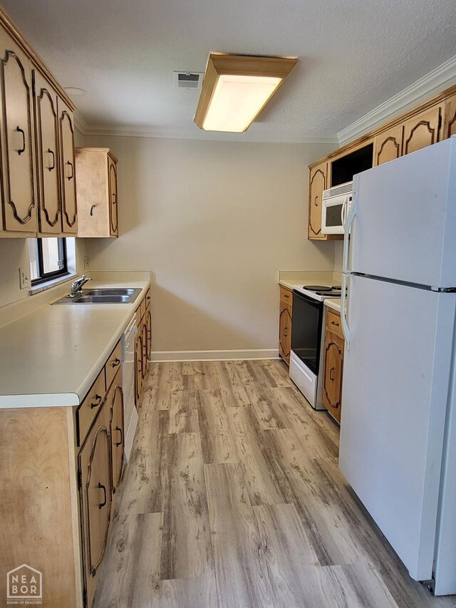 1712 Merrill Cv, Jonesboro, AR 72401 - photo 6