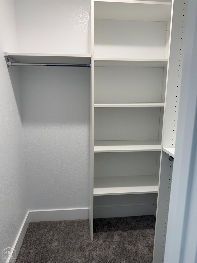 3101 Bear Creek Cv, Jonesboro, AR 72404 - spacious closet featuring carpet floors