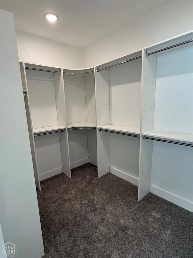 3101 Bear Creek Cv, Jonesboro, AR 72404 - walk in closet featuring dark colored carpet