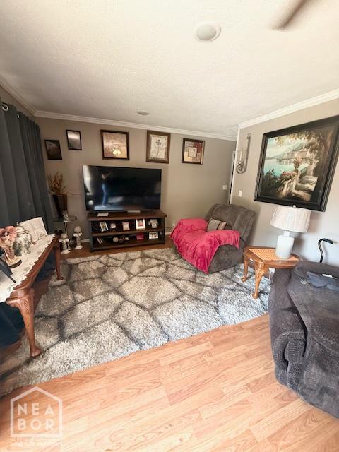 301 Ann Ave, Piggott, AR 72454 - photo 3