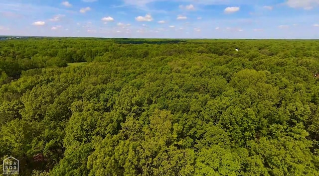 2311 Bridger Rd, Jonesboro, AR 72405 - bird's eye view of a forest