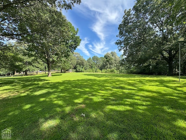 2311 Bridger Rd, Jonesboro, AR 72405 - view of green lawn
