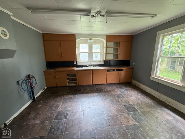 414 E 1st St, Rector, AR 72461 - kitchen featuring baseboards, healthy amount of natural light, ornamental molding, open shelves, and dark stone finish floors