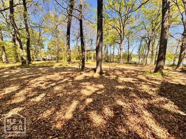 1405 Arrowhead Farm Rd, Jonesboro, AR 72401 - view of yard